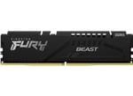 Kingston FURY Hayop DDR5 Memory Modules