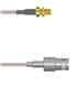 Amphenol Custom Cable Q-2W0030005012i