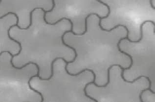 Infographic - Panasonic Industrial Devices EMA0600003B0 Transparent Conductive Film