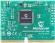Microchip Technology EV76L31A