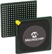 Microchip Technology ZL30314GKG2