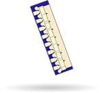 Qorvo TGF2023-2-10 Pinalaking Image