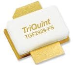 Qorvo TGF2929-FS Pinalaking Image