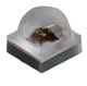 Cree LED XQARDO-00-0000-000000Y01